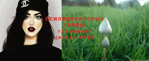 прущая мука Арсеньев