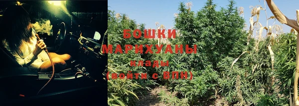 дживик Аркадак