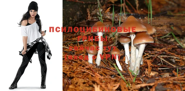COCAINE Осинники